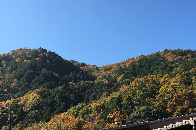 秋の炭山
